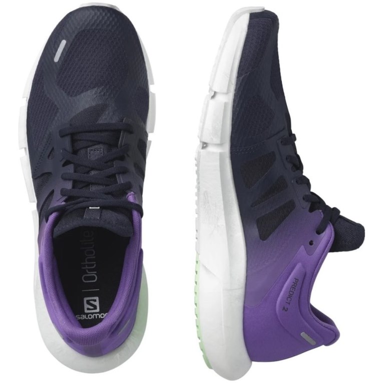 Salomon Predict 2 Men's Running Shoes Navy / Purple | CA 91S72